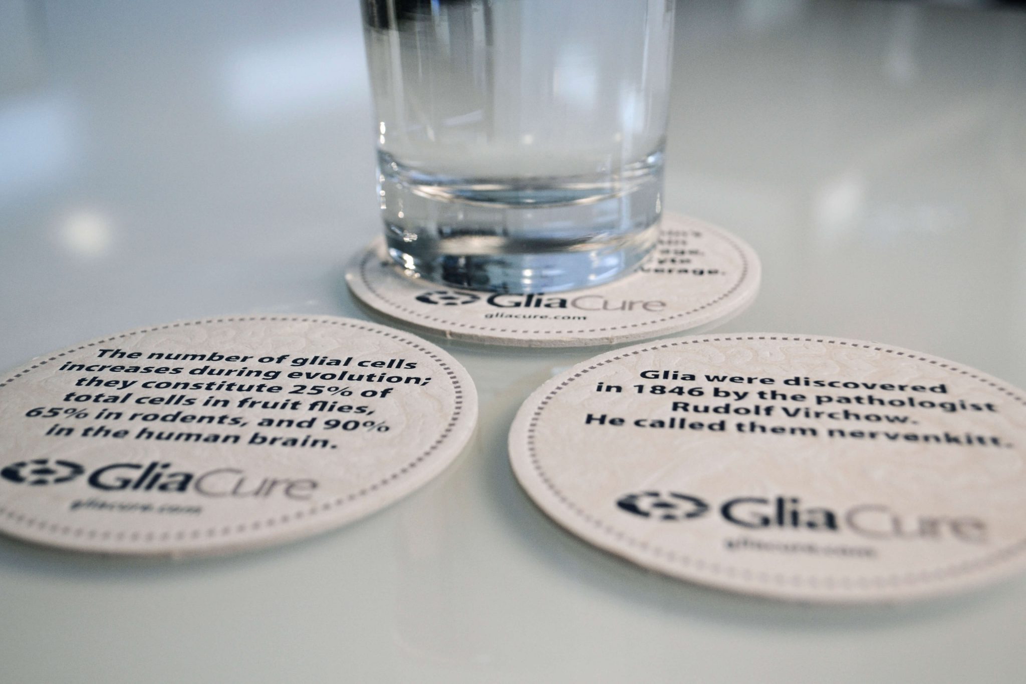 Spin350_Glia_Coasters-1-2048x1365
